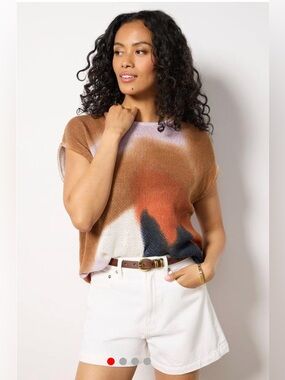 NWT LNA Clothing - Bowie Sleeveless Multicolor Sweater